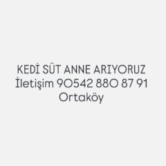 ig-c39b112851175965