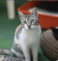 Ekran-Resmi-2026-01-17-13.54.44