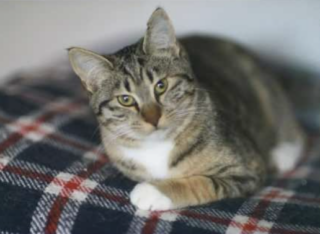 Ekran-Resmi-2026-01-17-14.12.15