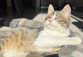 Ekran-Resmi-2026-01-17-14.19.53