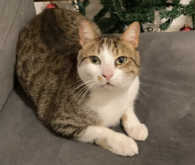 Ekran-Resmi-2026-01-17-15.07.21