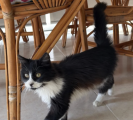 Ekran-Resmi-2026-01-17-15.13.04