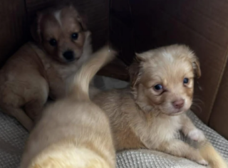 Ekran-Resmi-2026-01-17-15.16.31