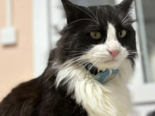 Ekran-Resmi-2026-01-17-15.19.20