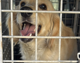 Ekran-Resmi-2026-01-17-15.21.43