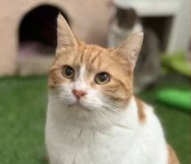 Ekran-Resmi-2026-01-17-15.24.50