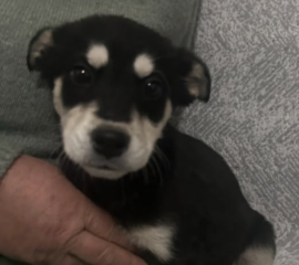 Ekran-Resmi-2026-01-17-15.32.36