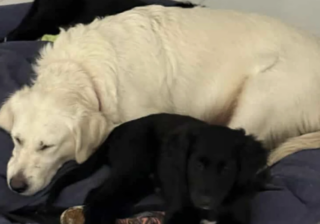 Ekran-Resmi-2026-01-17-15.55.08