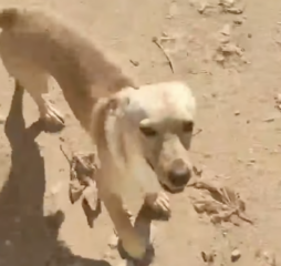 Ekran-Resmi-2026-01-18-13.25.40