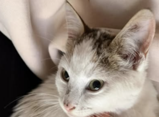 Ekran-Resmi-2026-01-18-13.36.46