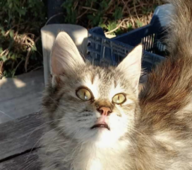 Ekran-Resmi-2026-01-18-13.39.55