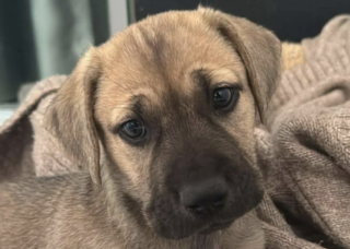 Ekran-Resmi-2026-01-18-13.43.23