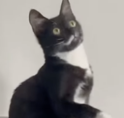 Ekran-Resmi-2026-01-18-14.43.24