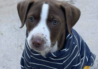 Ekran-Resmi-2026-01-18-15.12.22