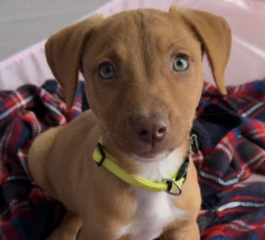 Ekran-Resmi-2026-01-18-16.21.37