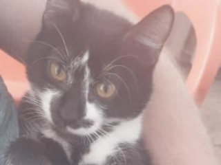 Ekran-Resmi-2026-01-18-16.29.32