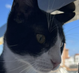 Ekran-Resmi-2026-01-18-17.21.58