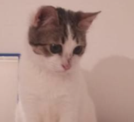 Ekran-Resmi-2026-01-18-17.33.21