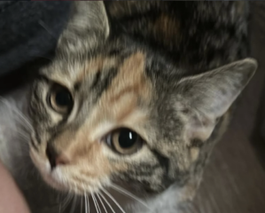 Ekran-Resmi-2026-01-18-17.37.08