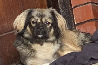 Ekran-Resmi-2026-01-18-17.43.29