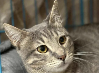 Ekran-Resmi-2026-01-18-17.50.03