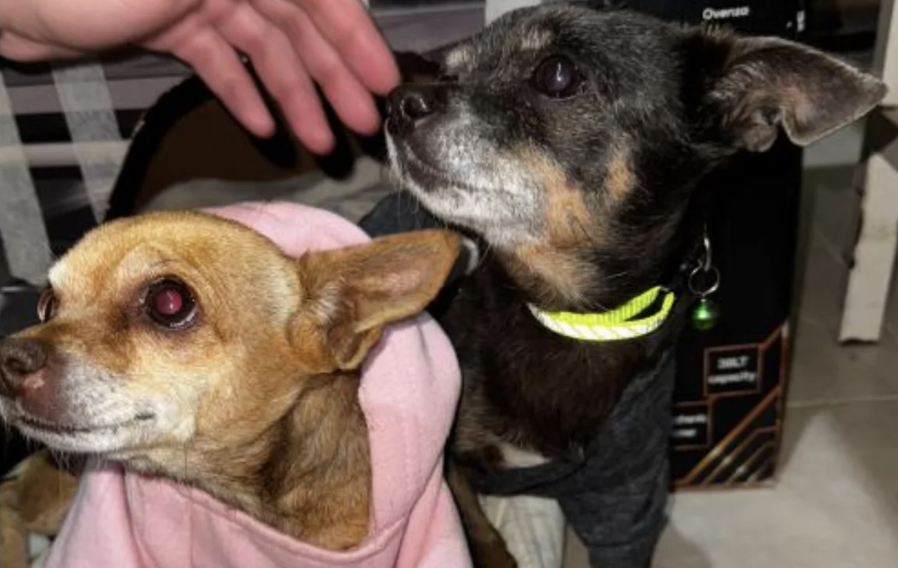 Ekran-Resmi-2026-01-18-17.54.58