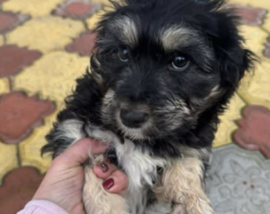 Ekran-Resmi-2026-01-18-18.02.39