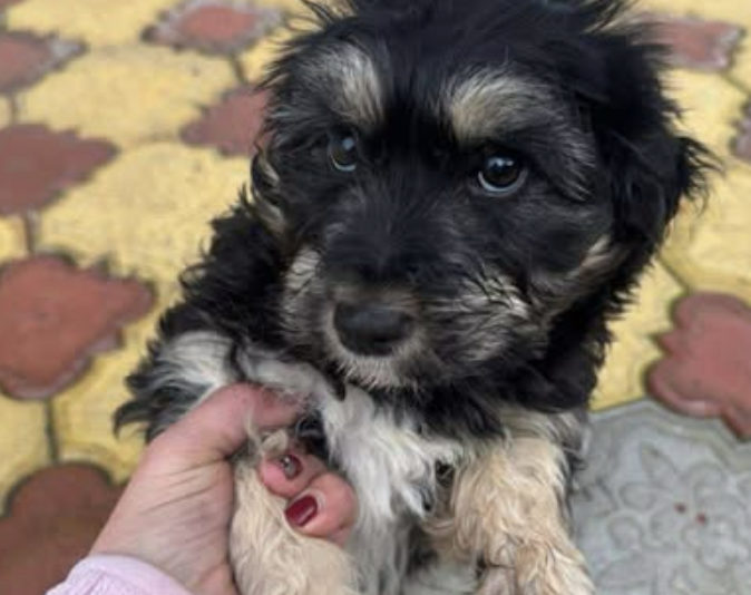 Ekran-Resmi-2026-01-18-18.02.39