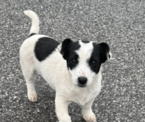 Ekran-Resmi-2026-01-18-18.33.01