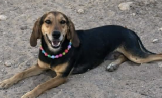 Ekran-Resmi-2026-01-18-18.41.16