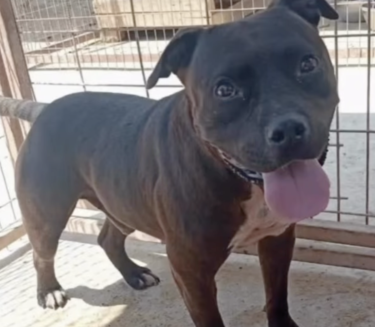 Ekran-Resmi-2026-01-18-18.42.40