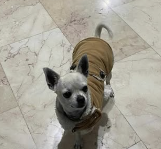 Ekran-Resmi-2026-01-18-18.44.29