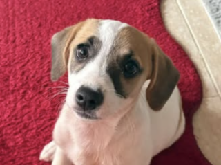 Ekran-Resmi-2026-01-18-18.54.18