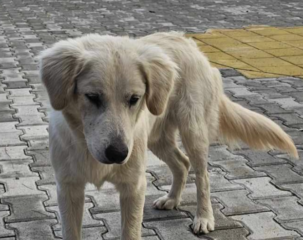 Ekran-Resmi-2026-01-19-14.25.45