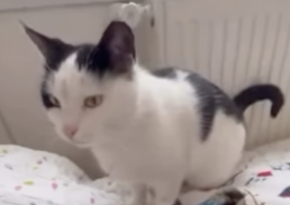 Ekran-Resmi-2026-01-19-14.26.53