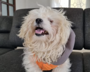 Ekran-Resmi-2026-01-19-14.28.42