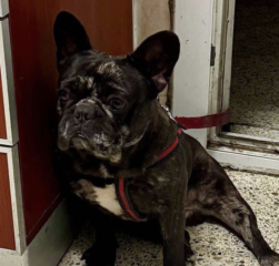 Ekran-Resmi-2026-01-19-14.30.11