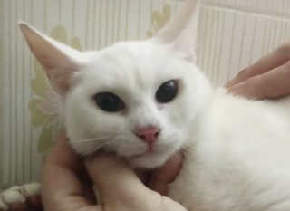 Ekran-Resmi-2026-01-19-14.33.20