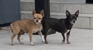 Ekran-Resmi-2026-01-19-14.35.55