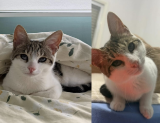 Ekran-Resmi-2026-01-19-14.37.12