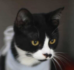 Ekran-Resmi-2026-01-19-14.40.34