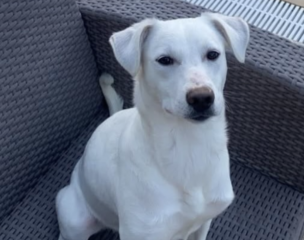 Ekran-Resmi-2026-01-19-14.43.47