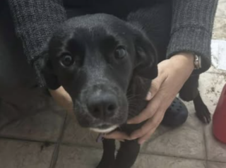 Ekran-Resmi-2026-01-19-14.46.05