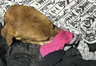 Ekran-Resmi-2026-01-19-14.48.04