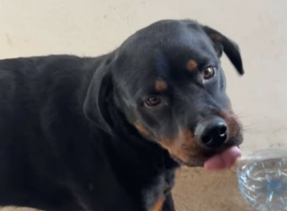 Ekran-Resmi-2026-01-19-14.50.58