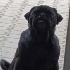 Ekran-Resmi-2026-01-19-14.54.33