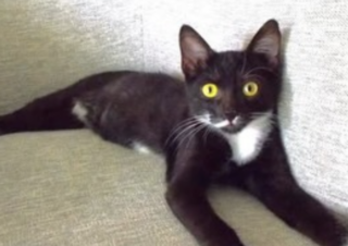 Ekran-Resmi-2026-01-19-14.56.11