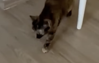 Ekran-Resmi-2026-01-19-15.23.18