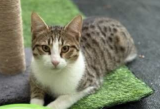 Ekran-Resmi-2026-01-19-15.24.49