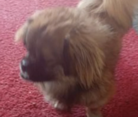 Ekran-Resmi-2026-01-19-15.30.35